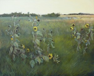 Susu Meyer South Texas Field image courtesy the artist and Harris Gallery